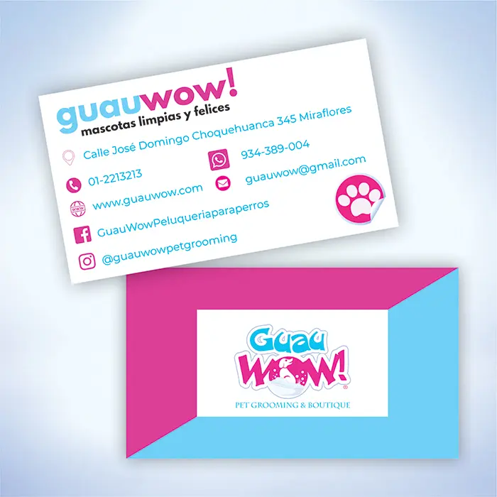 portafolio item photo